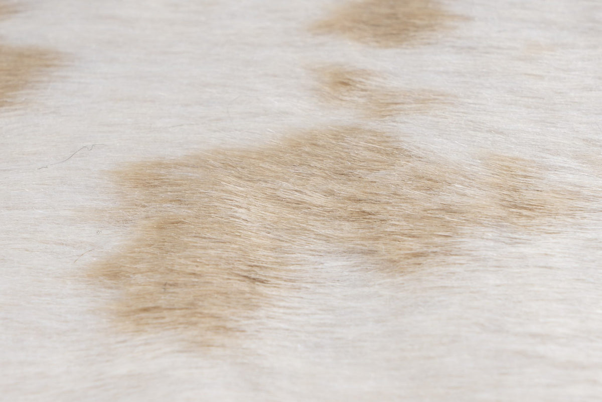 Rodeo 203 — Koeprint · Zachtpolig vloerkleed
